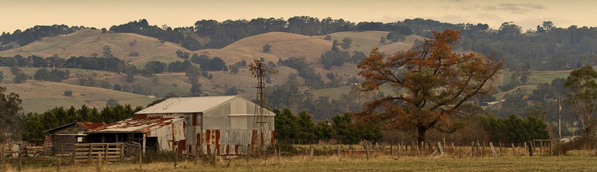 masthead-farm